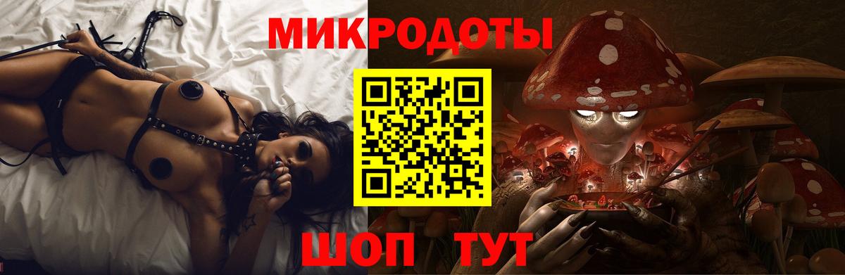 Псилоцибиновые грибы Psilocybine cubensis Полевской